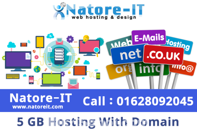 5 GB Hosting With Domain